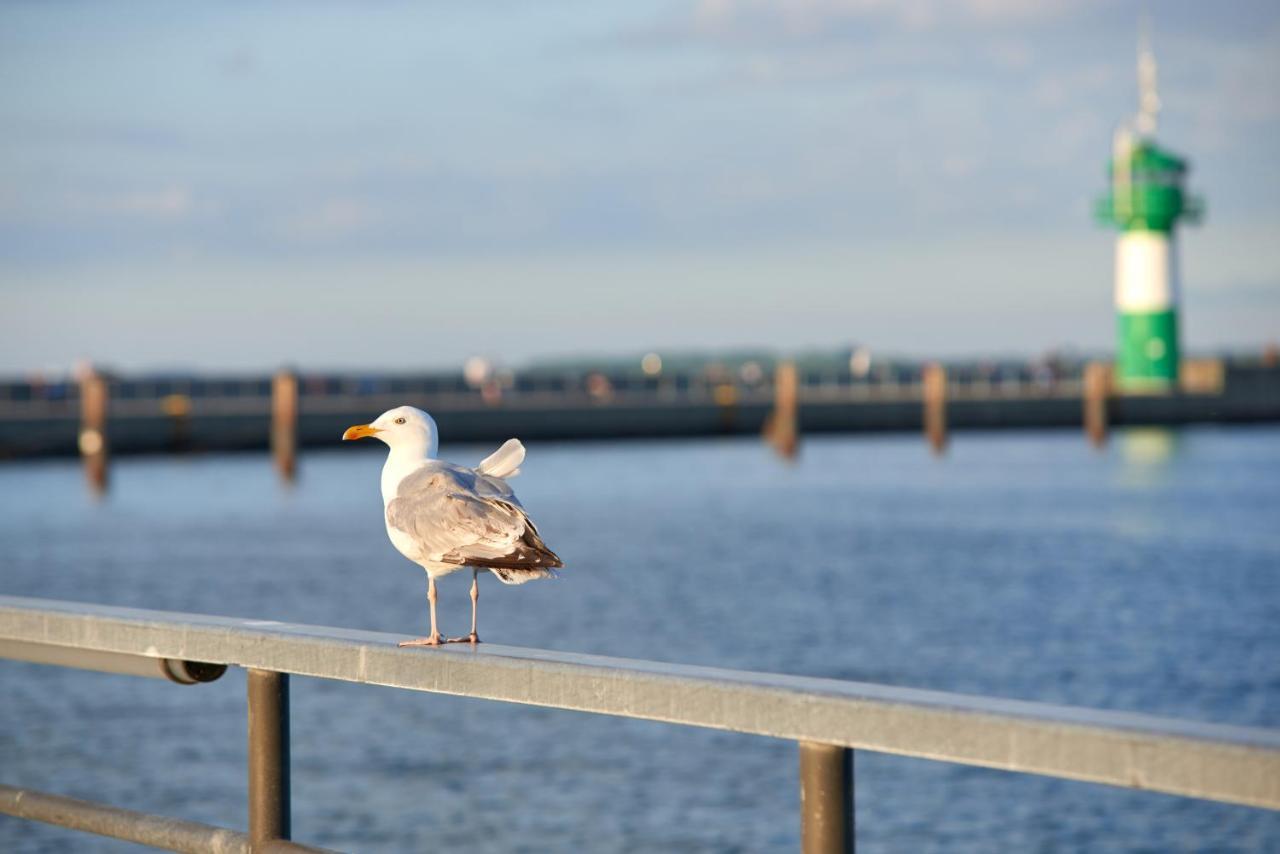 Ostseeperle